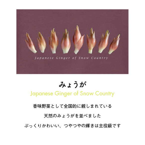 ［着る山菜］ビッグシルエット みょうがパーカー（メルロー） 4枚目の画像