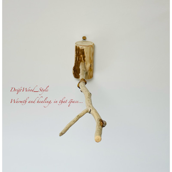 流木インテリア 先端がY字の枝の大サイズ小鳥の止まり木 インコの壁掛けパーチ ニームパーチ ピン止めタイプ N8 7枚目の画像