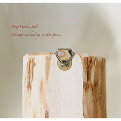 流木インテリア 先端がY字の枝の大サイズ小鳥の止まり木 インコの壁掛けパーチ ニームパーチ ピン止めタイプ N8 8枚目の画像