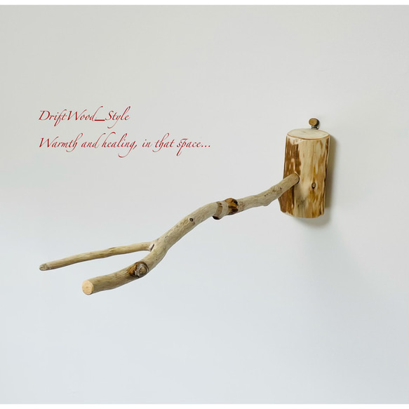 流木インテリア 先端がY字の枝の大サイズ小鳥の止まり木 インコの壁掛けパーチ ニームパーチ ピン止めタイプ N8 1枚目の画像