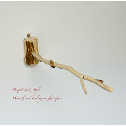 流木インテリア 先端がY字の枝の大サイズ小鳥の止まり木 インコの壁掛けパーチ ニームパーチ ピン止めタイプ N8 2枚目の画像