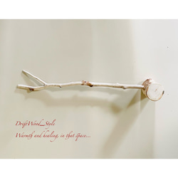 流木インテリア 先端がY字の枝の大サイズ小鳥の止まり木 インコの壁掛けパーチ ニームパーチ ピン止めタイプ N8 5枚目の画像