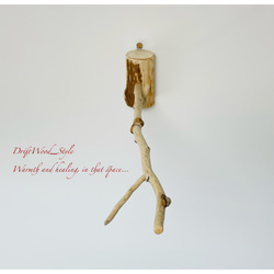 流木インテリア 先端がY字の枝の大サイズ小鳥の止まり木 インコの壁掛けパーチ ニームパーチ ピン止めタイプ N8 3枚目の画像