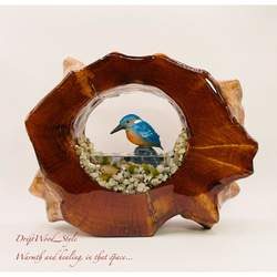 一つ限りの流木アート カワセミ ジオラマ 流木 フィギュア 置物 鳥 インテリア レジン テラリウム 水辺 N4 1枚目の画像