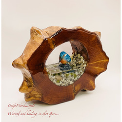 一つ限りの流木アート カワセミ ジオラマ 流木 フィギュア 置物 鳥 インテリア レジン テラリウム 水辺 N4 4枚目の画像