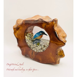 一つ限りの流木アート カワセミ ジオラマ 流木 フィギュア 置物 鳥 インテリア レジン テラリウム 水辺 N4 8枚目の画像