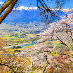 山岳風景写真 〜Spring in AZUMINO〜 （桜･春･安曇野･北アルプス･登山／送料無料） 7枚目の画像