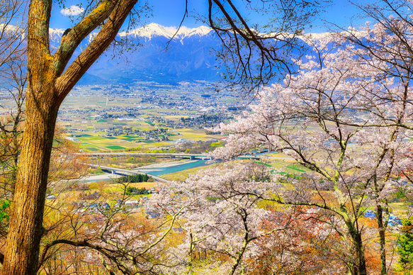 山岳風景写真 〜Spring in AZUMINO〜 （桜･春･安曇野･北アルプス･登山／送料無料） 7枚目の画像