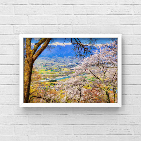 山岳風景写真 〜Spring in AZUMINO〜 （桜･春･安曇野･北アルプス･登山／送料無料） 2枚目の画像