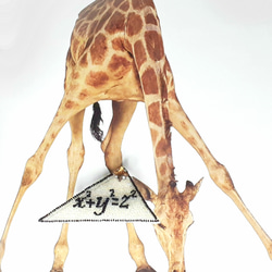ピタゴラスの定理(xyz)のブローチ/金茶 ＊オートクチュールビーズ刺繍 5枚目の画像