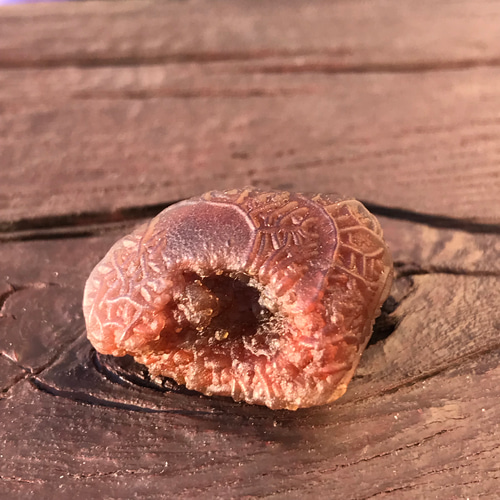 新疆ウイグル自治区 大筋脈石 原石 模様はっきり 置物 ゴビ瑪瑙 ゴビ石