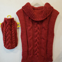 ワンちゃんとペアルック♪ざっくり！アラン模様の手編みセーター(赤) 1枚目の画像