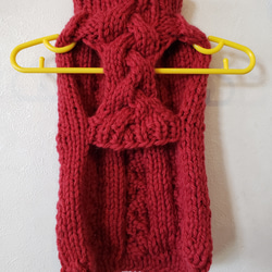 ワンちゃんとペアルック♪ざっくり！アラン模様の手編みセーター(赤) 4枚目の画像