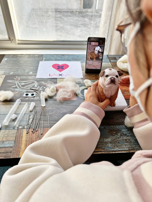 【オーダーメイドペット】羊毛フェルト、うちの子　猫ぬいぐるみ、フェルト猫、羊毛猫、肖像画、犬猫人形 プレゼントやギフトに KUE5442123780