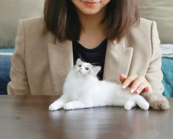 【オーダーメイドペット】羊毛フェルト、うちの子　猫ぬいぐるみ、フェルト猫、羊毛猫、肖像画、犬猫人形 プレゼントやギフトに 1枚目の画像