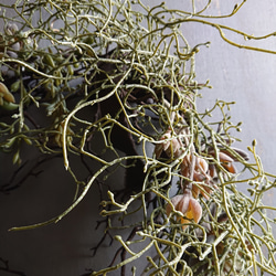 ●新作●アーティフィシャルグリーン”シルバーリーフと多肉植物のグリーンリース　 直径約38cm”　造花　フェイクグリーン 3枚目の画像