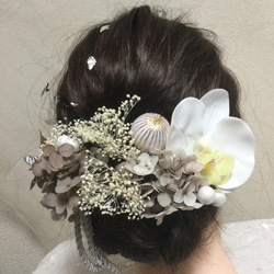 和紐&和玉　ホワイト胡蝶蘭髪飾りセット　ドライフラワー　結婚式　成人式 卒業式 4枚目の画像