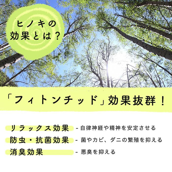 ※完売 【限定5袋】2023年工房やにわにの福袋 16枚目の画像