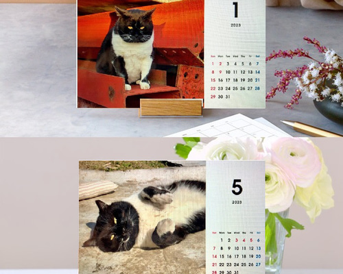 ブックエンド 猫 ねこ ネコ ドライフラワー シャビー 【公式通販】