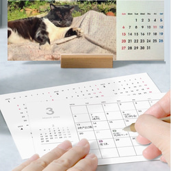 早期予約特典付き12月7日まで 「タキちゃんカレンダー」　2023年卓上カレンダー 木製スタンド付き 大人気のボス猫 8枚目の画像