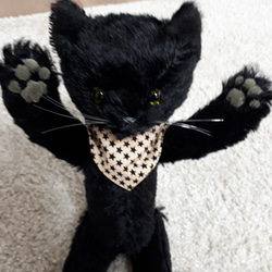 黒猫ちゃん 12枚目の画像