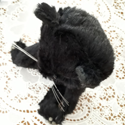 黒猫ちゃん 10枚目の画像