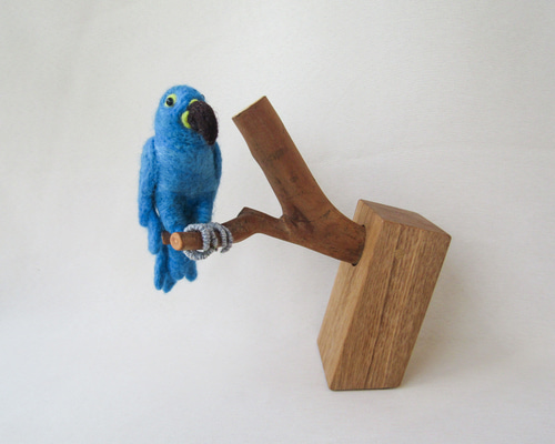 スワロフスキー　SCS会員限定　ヒヤシンスマコー　スミレコンゴウインコ sw5004730_3.jpg