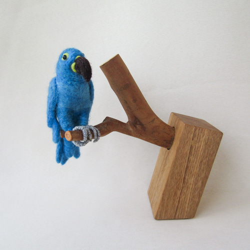 スミレコンゴウインコちゃん 羊毛フェルト hinatabokko 通販 15053717