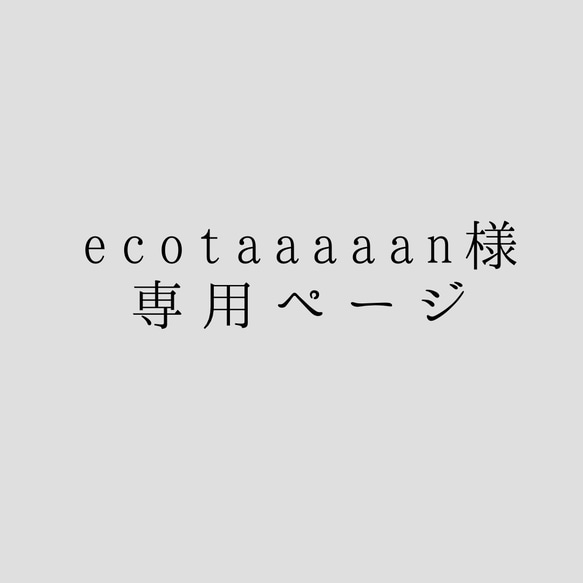 ecotaaaaan様専用ページ 1枚目の画像