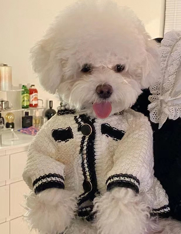 犬服 可愛い ペットウェア 犬ウェア  冬 ビションフリーゼ ポメラニアン 2枚目の画像