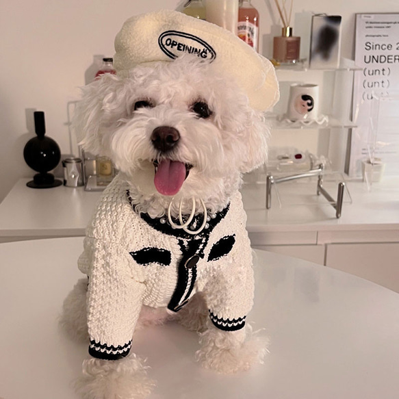 犬服 可愛い ペットウェア 犬ウェア  冬 ビションフリーゼ ポメラニアン 1枚目の画像