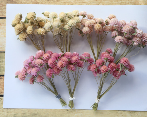 新品チマチョゴリアイボリーピンクパーティー結婚式値下特価 美品 白レース×ピンクシフォン 韓服 チマチョゴリ 最近人気の多い pink