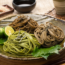 母の日 宇治抹茶・ほうじ茶・和紅茶そば 6食分 つゆ付 茶蕎麦 抹茶そば ギフト きよ泉 お取り寄せ 人気 プレゼント 1枚目の画像