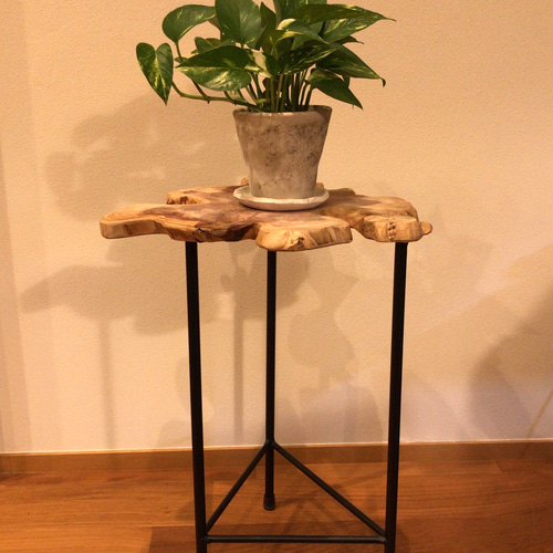 イブキとアイアンのサイドテーブル 植物棚 インテリア リビング・玄関