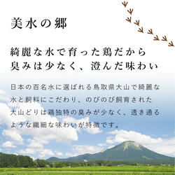 定番焼き鳥セット 3枚目の画像