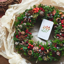 新作✨赤いしめ縄リース クリスマス、お正月兼用のお飾り しめ縄