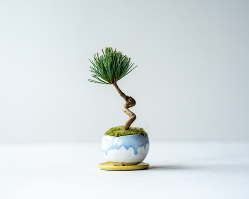 687f6766454a768d1bc24d64175063