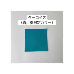 【非売品】追加料金なしで、バッグの持ち手、ポケットの色の変更出来ます 19枚目の画像