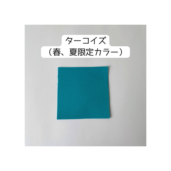 【非売品】追加料金なしで、バッグの持ち手、ポケットの色の変更出来ます 19枚目の画像