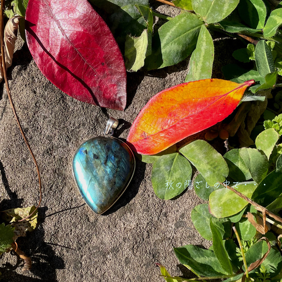 【Sv925】* StoneArt* Mystic Color・・・ ”ラブラドライトBigペンダント”〜輝く木の葉〜 14枚目の画像