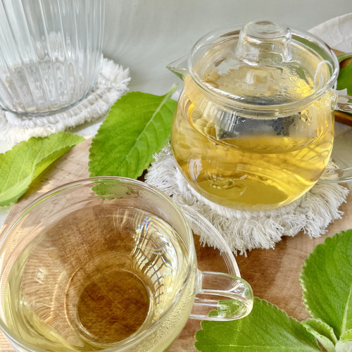 奇跡のハーブ 沖縄薬草マンジェリコン 紅茶・お茶・ハーブティー