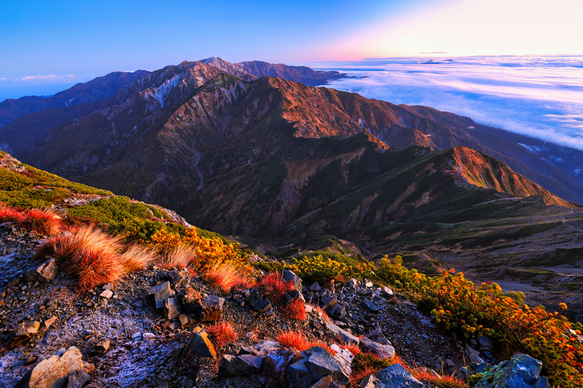 山岳風景写真 〜夜明けを待ち侘びて〜 （唐松岳･五竜岳･北アルプス･朝焼け･紅葉･登山／送料無料） 7枚目の画像