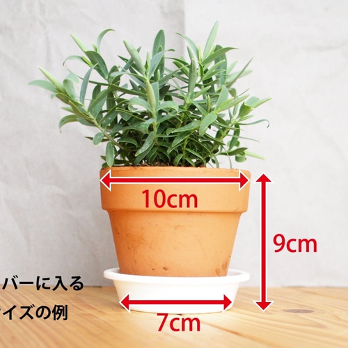 木製 鉢カバー（3号鉢用）栃材1 植木鉢カバー 一輪挿し・花瓶