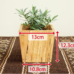 木製 鉢カバー（3号鉢用） 桜材3　植木鉢カバー 5枚目の画像