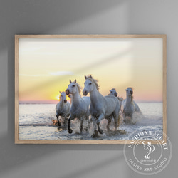 Ocean ゴージャスサンセット白い馬たち / インテリアポスター 海外アート /4517 1枚目の画像