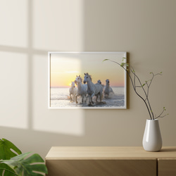 Ocean ゴージャスサンセット白い馬たち / インテリアポスター 海外アート /4517 4枚目の画像