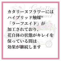 クリスマス2023白いリーフが厳かなクリスマスリース　プレゼント　華やか　白い　クリスマス　リース　ポインセチア　 12枚目の画像