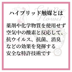 クリスマス2023白いリーフが厳かなクリスマスリース　プレゼント　華やか　白い　クリスマス　リース　ポインセチア　 14枚目の画像