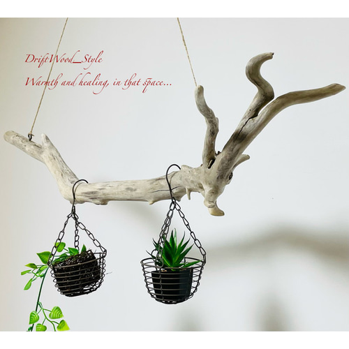 流木インテリア 美しい木の根の造形の天然流木のハンガー 流木ハンガー