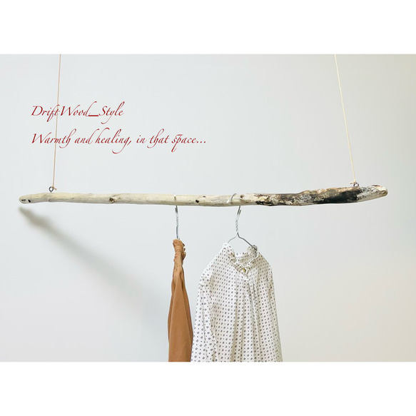 流木インテリア 真っすぐに伸びる枝の大型ハンガーラック 北欧 衣装掛け ハンギング 吊り下げ ハンガーポール 癒し 4枚目の画像
